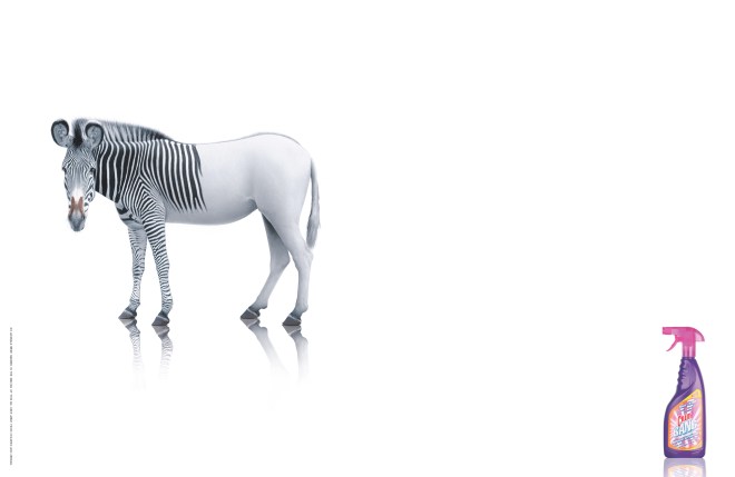 PPGH5830_CILLITBANG_Zebra.indd